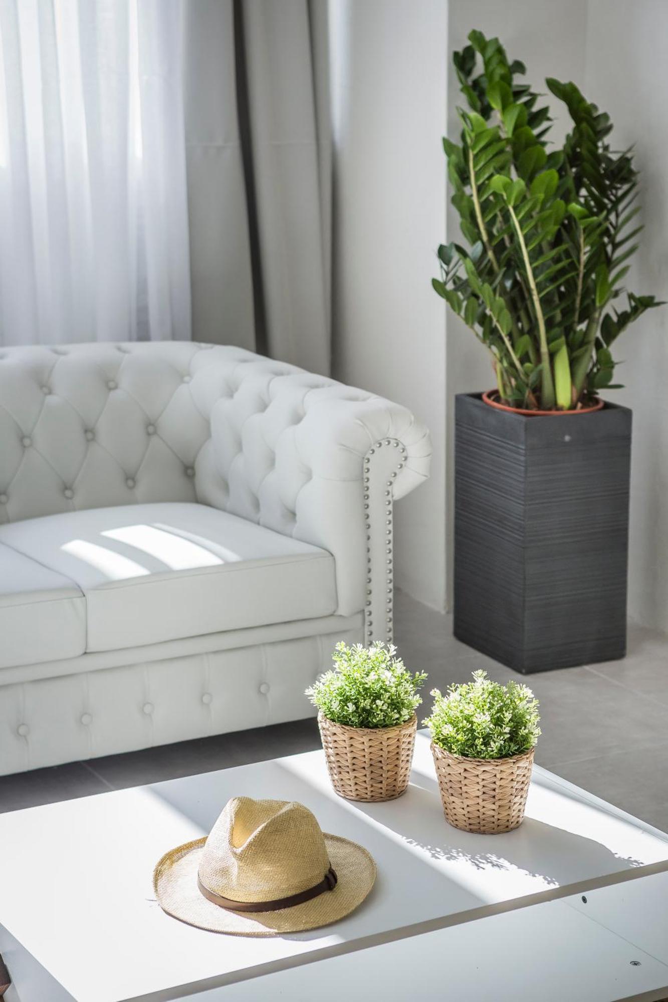 Suites Minetos Vlachata 部屋 写真